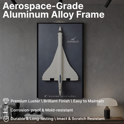 LEGO™ Frame for Concorde (10318), Wall Mount Showcase Frame, Christmas Gift